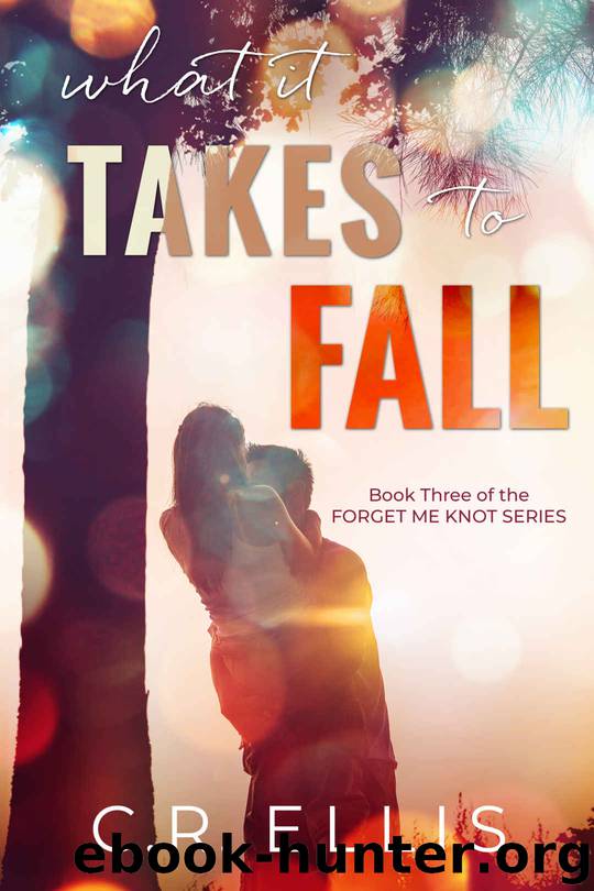What it Takes to Fall by Ellis C.R