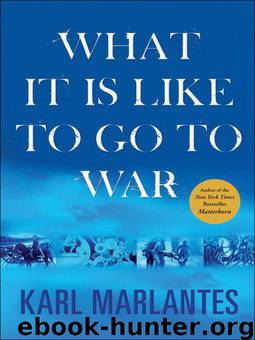 What it is Like to Go to War by Marlantes Karl