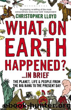 What on Earth Happened? ...In Brief by Christopher Lloyd
