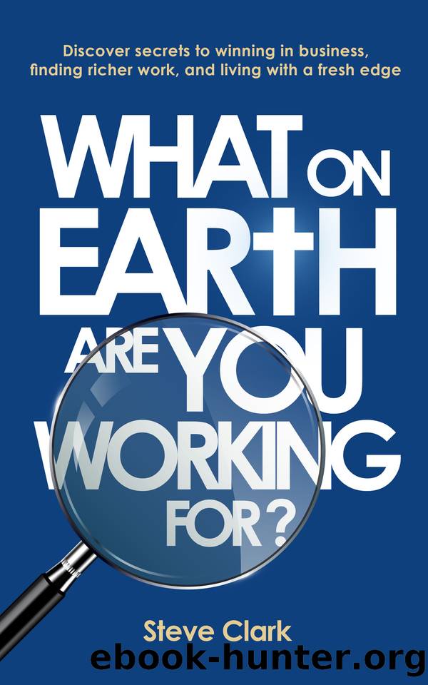 What on earth are you working for?: Discover secrets to winning in business, finding richer work, and living with a fresh edge by Clark Steve