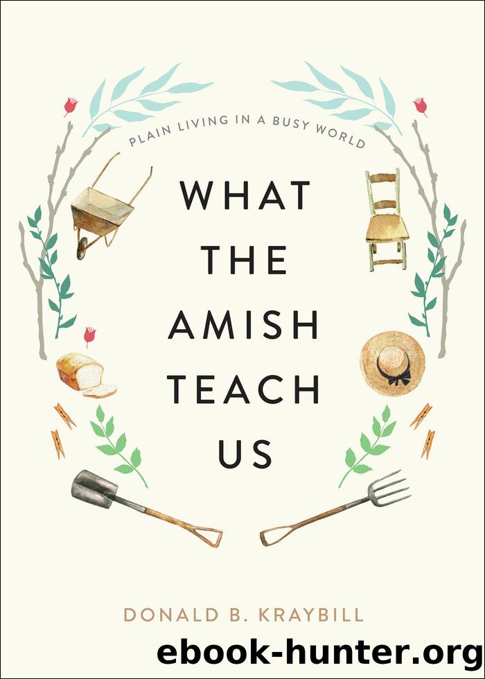 What the Amish Teach Us by Donald B. Kraybill