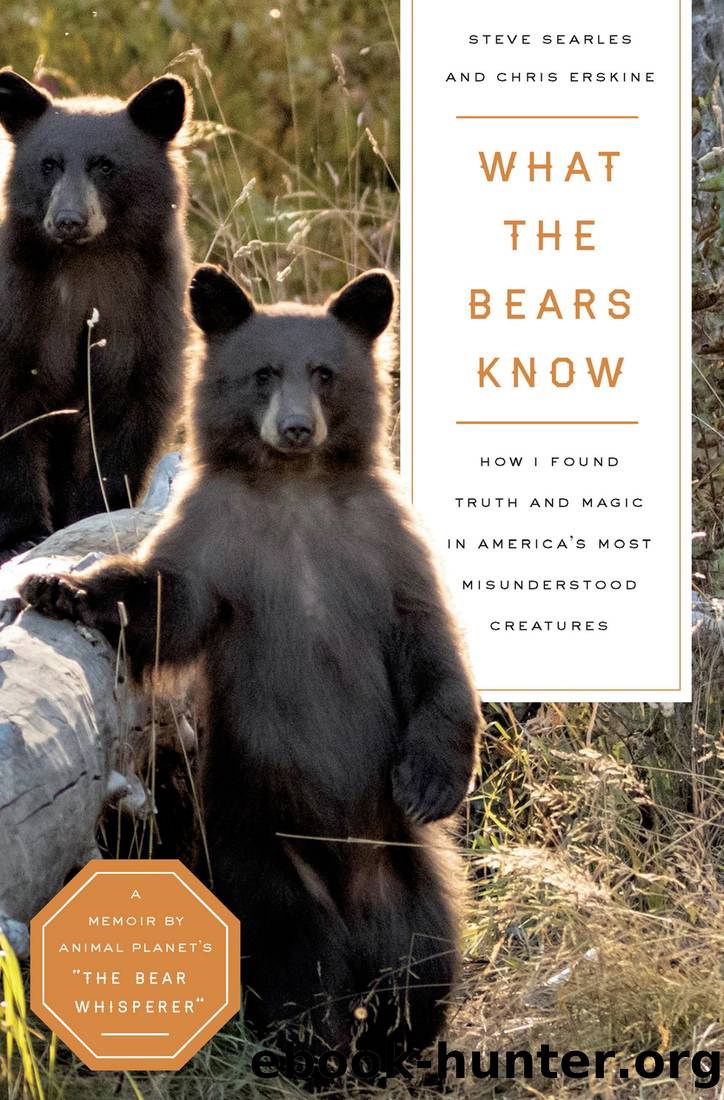 What the Bears Know by Steve Searles & Chris Erskine