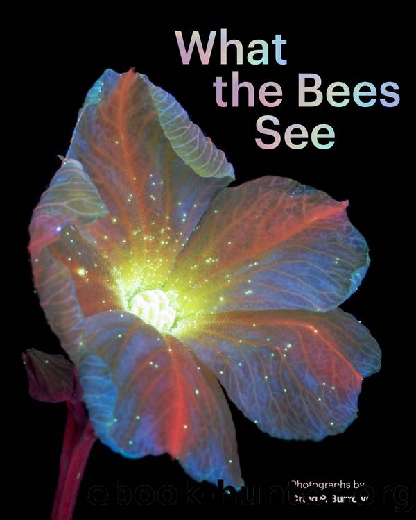 What the Bees See by Craig P. Burrows