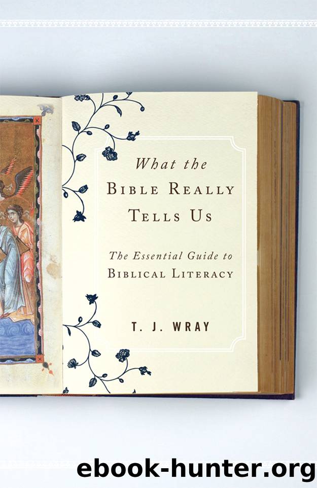 What the Bible Really Tells Us by T. J. Wray