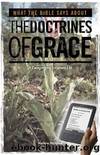 What the Bible Says About the DOCTRINES OF GRACE by Nathan Pitchford
