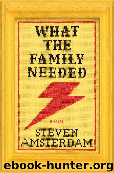 What the Family Needed by Steven Amsterdam
