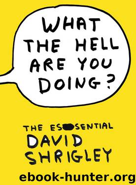 What the Hell are You Doing? by David Shrigley