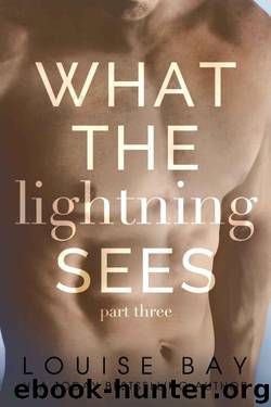 What the Lightning Sees: Part Three by Louise Bay