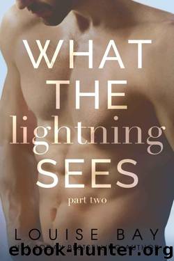 What the Lightning Sees: Part Two by Louise Bay
