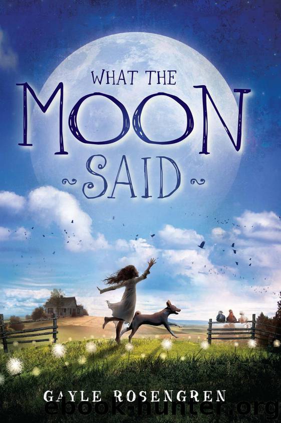 What the Moon Said by Gayle Rosengren