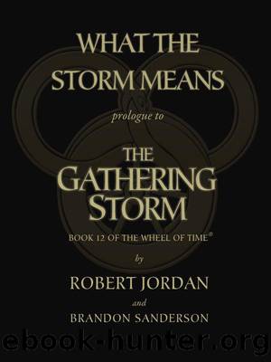 What the Storm Means: Prologue to the Gathering Storm by Brandon Sanderson;Robert Jordan