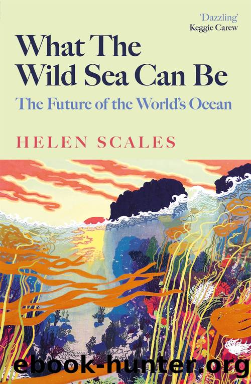 What the Wild Sea Can Be by Helen Scales