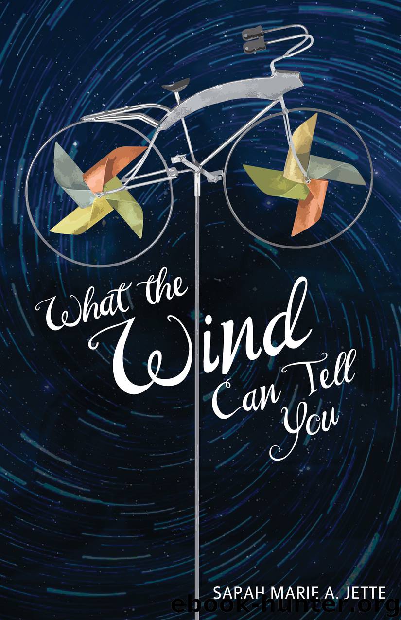 What the Wind Can Tell You by Sarah Marie Jette