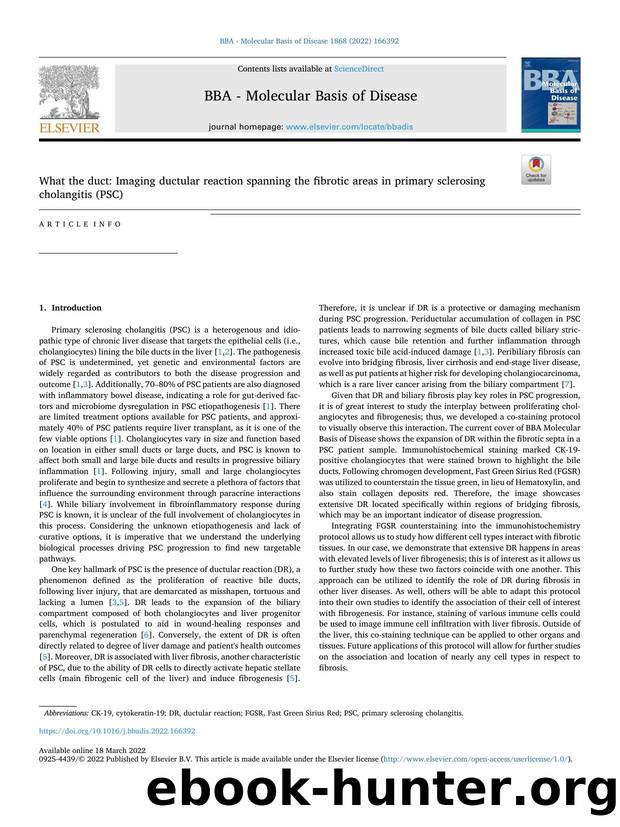 What the duct: Imaging ductular reaction spanning the fibrotic areas in primary sclerosing cholangitis (PSC) by Travis Owen & Heather Francis & Gianfranco Alpini & Lindsey Kennedy