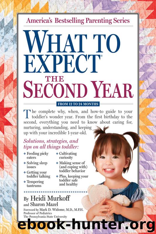 What to Expect the Second Year by Heidi Murkoff & Sharon Mazel