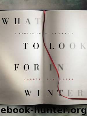 What to Look for in Winter by Candia McWilliam