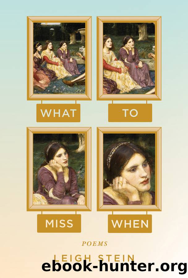 What to Miss When by Leigh Stein