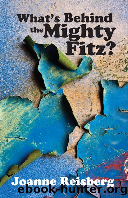 What's Behind the Mighty Fitz? by Joanne Reisberg