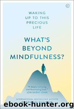 What's Beyond Mindfulness? by Stephen Fulder