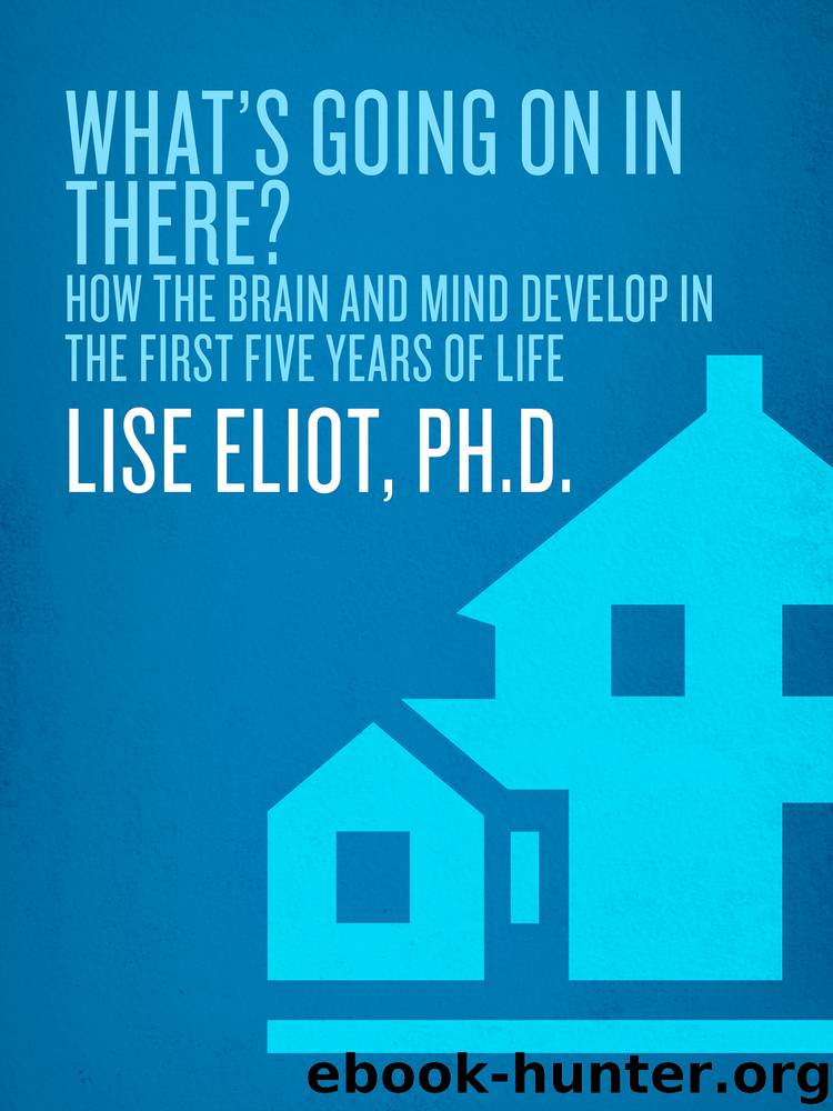 What's Going on in There? by Lise Eliot