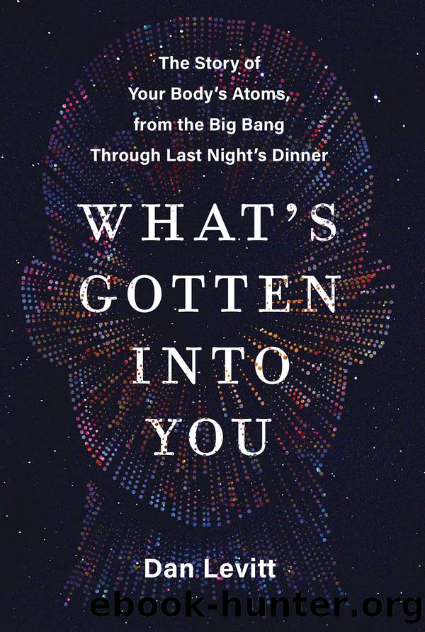 What's Gotten Into You by Dan Levitt