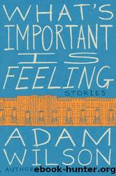 What's Important is Feeling Stories by Adam Wilson