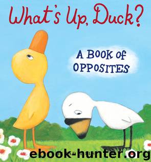 What's Up, Duck? by Tad Hills