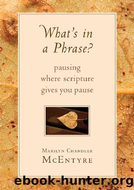 What's in a Phrase? by Marilyn McEntyre