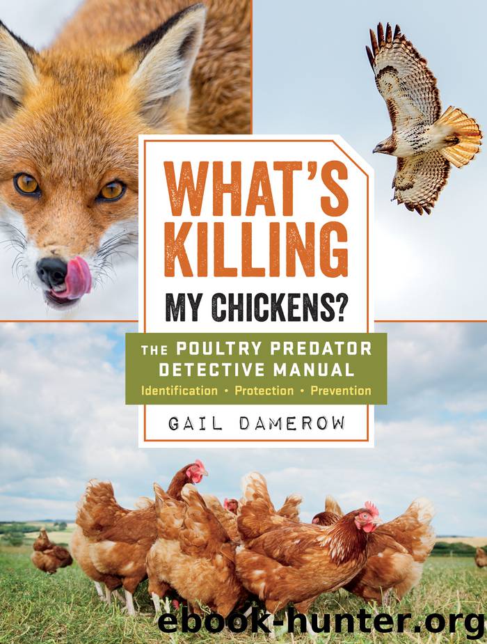 What’s Killing My Chickens? by Gail Damerow