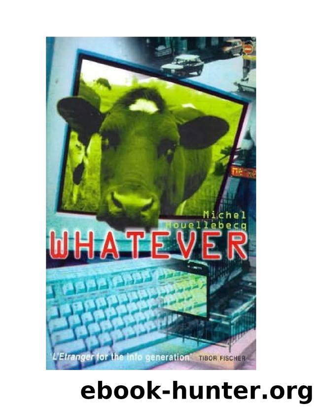 Whatever: a novel by Michel Houellebecq