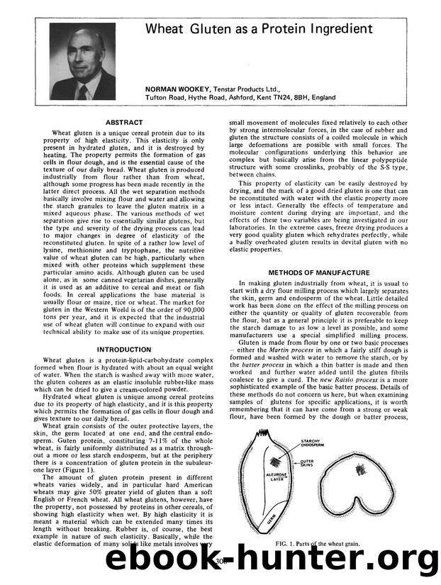 Wheat gluten as a protein ingredient by Unknown