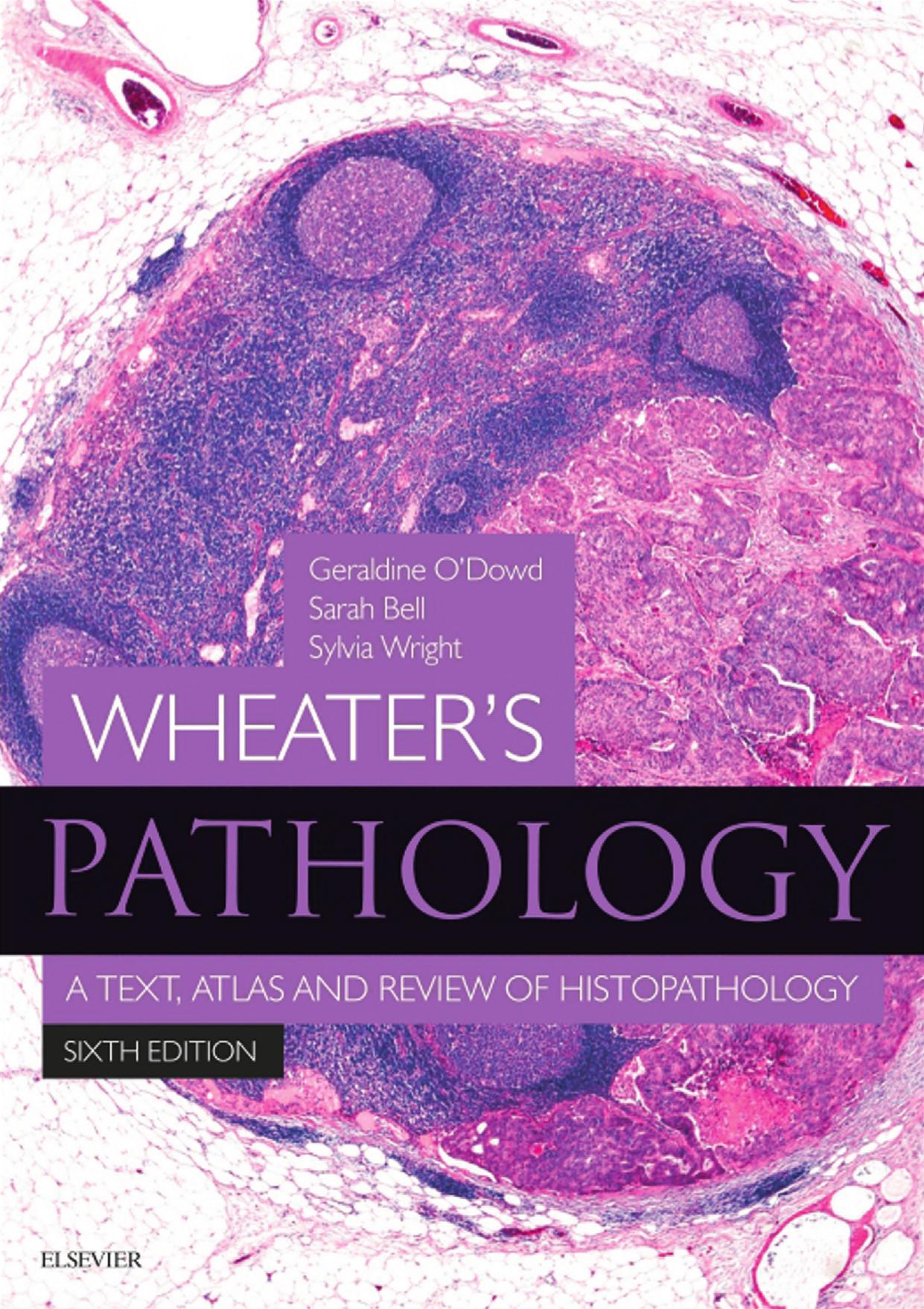 Wheater's pathology: a text, atlas and review of histopathology by Bell Sarah;O'Dowd Geraldine;Wright Sylvia