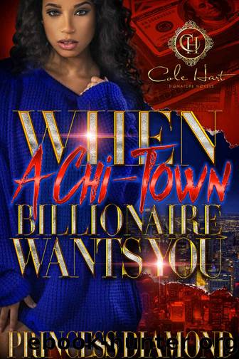 When A Chi-Town Billionaire Wants You by Princess Diamond