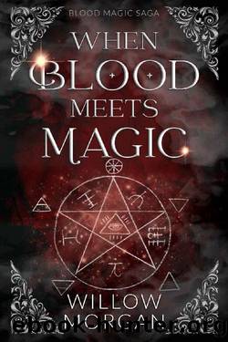 When Blood Meets Magic by Willow Morgan
