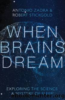 When Brains Dream by Unknown