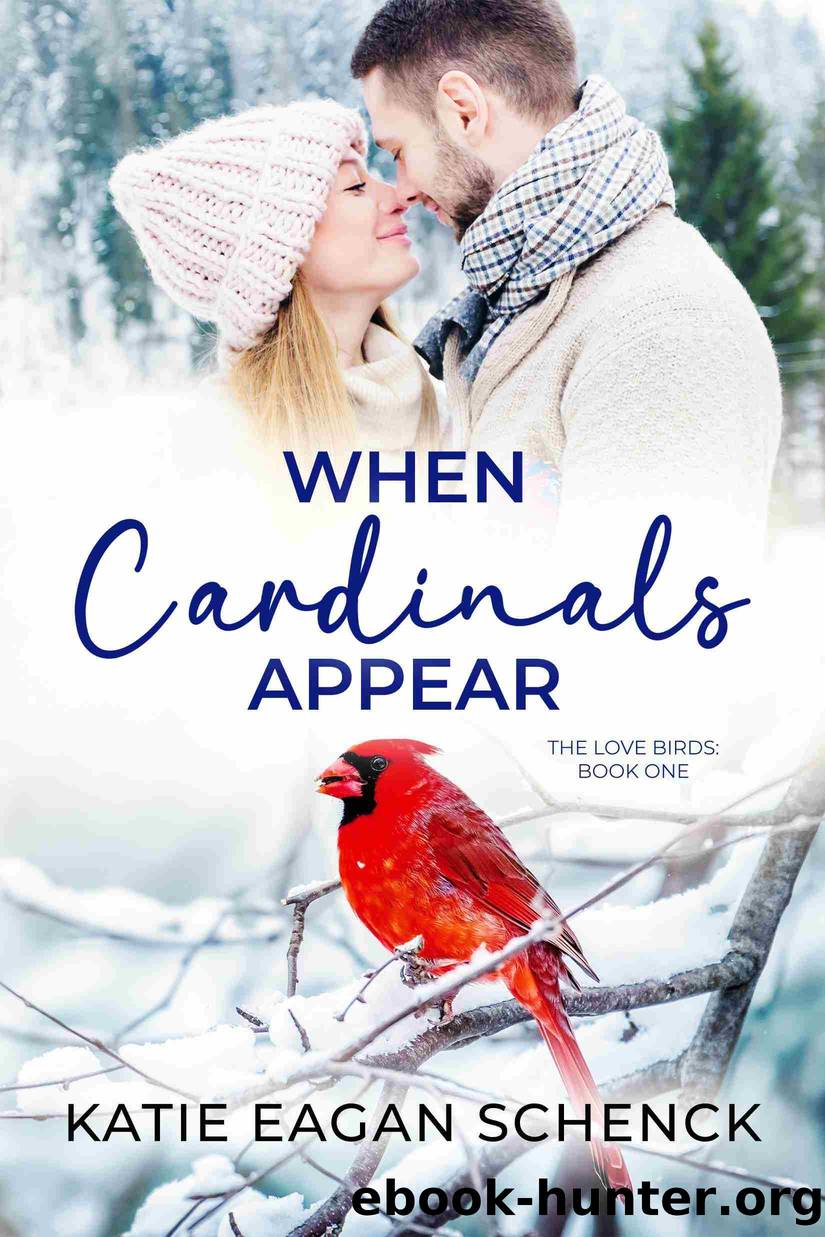 When Cardinals Appear by Katie Eagan Schenck