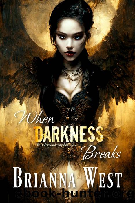 When Darkness Breaks by Brianna West