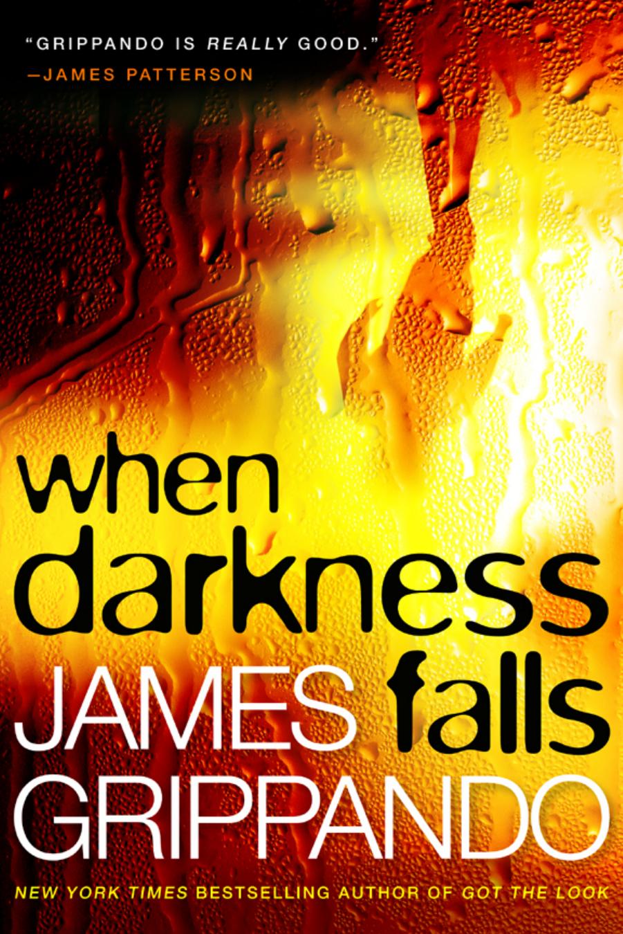 When Darkness Falls by James Grippando