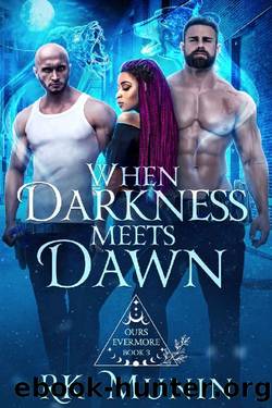 When Darkness Meets Dawn: Ours Evermore, Book 3 by RK Munin