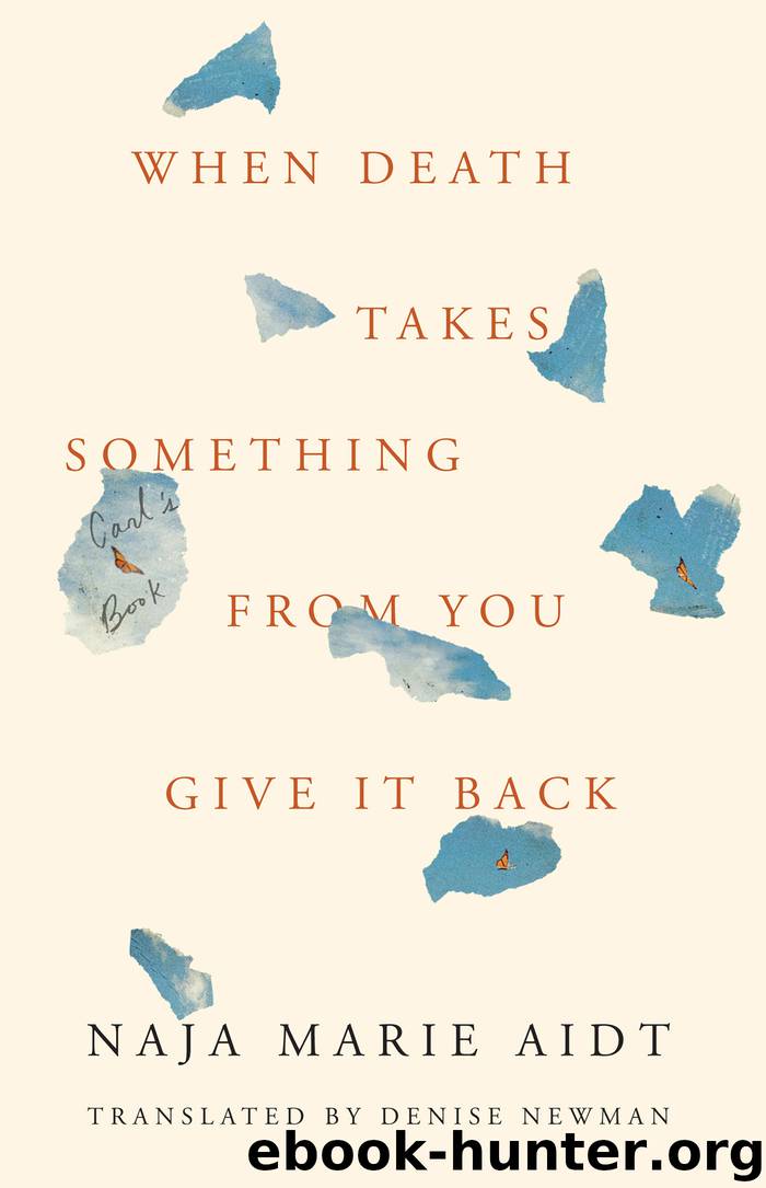 When Death Takes Something from You Give It Back by Naja Marie Aidt