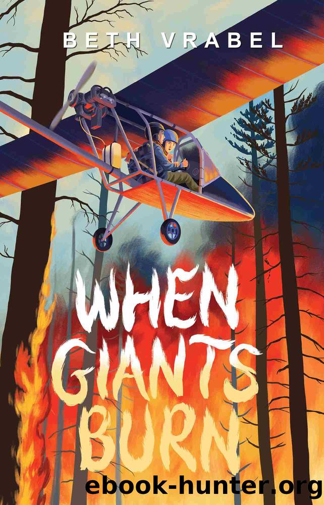 When Giants Burn by Beth Vrabel