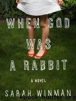 When God Was a Rabbit by Sarah Winman