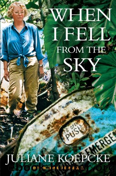 When I Fell From the Sky: The True Story of One Woman's Miraculous Survival by Juliane Diller