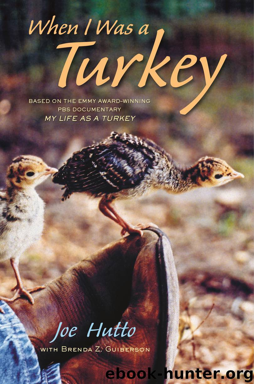 When I Was a Turkey by Joe Hutto