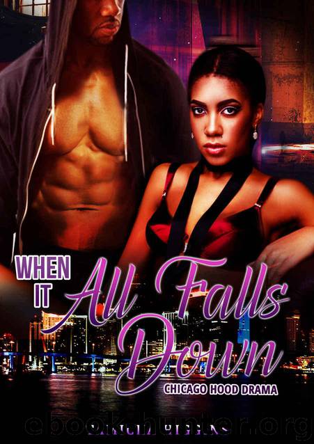 When It All Falls Down: A Chicago Hood Drama (A Hustler's Lady Book 1) by Higgins Tamicka