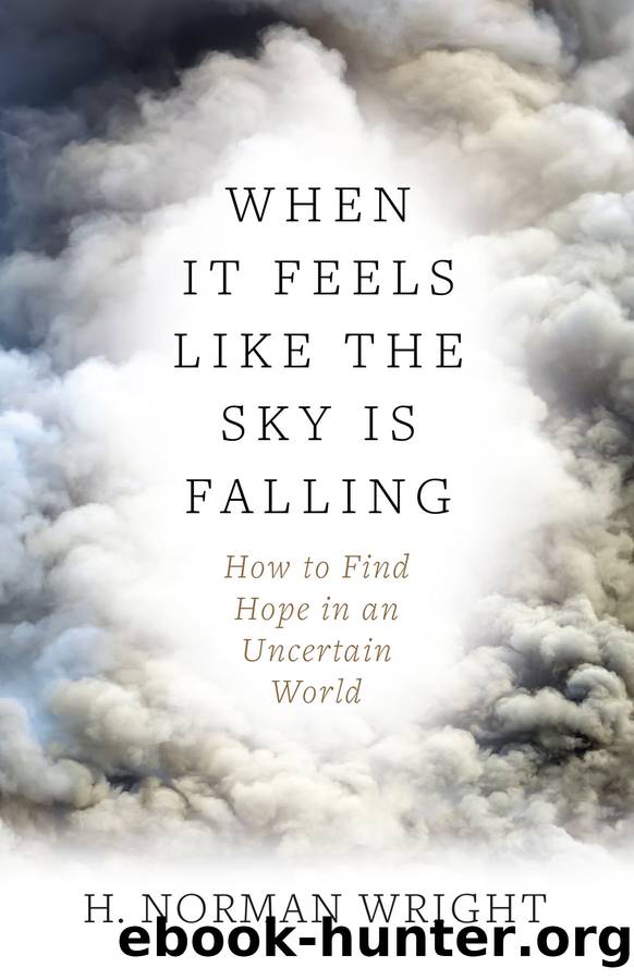 When It Feels Like the Sky Is Falling by H. Norman Wright