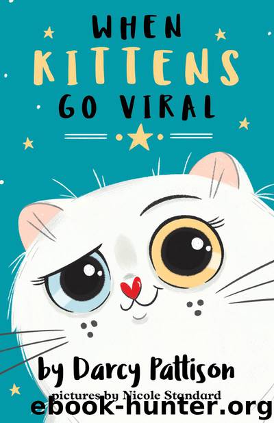 When Kittens Go Viral by Darcy Pattison