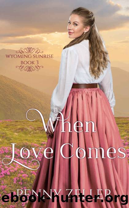 When Love Comes Paperback by Zeller Penny