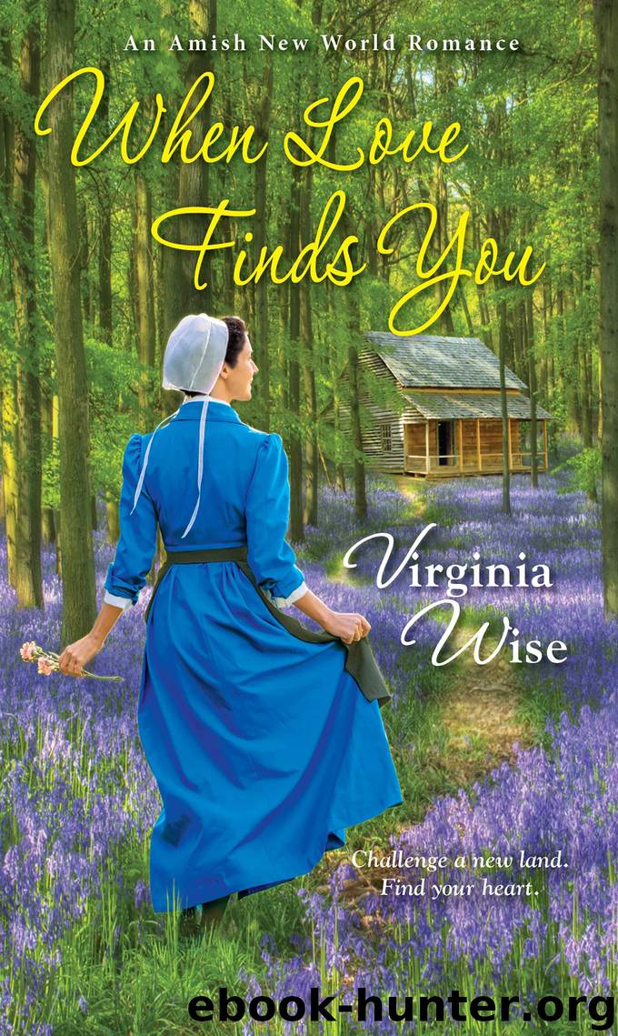 When Love Finds You by Virginia Wise