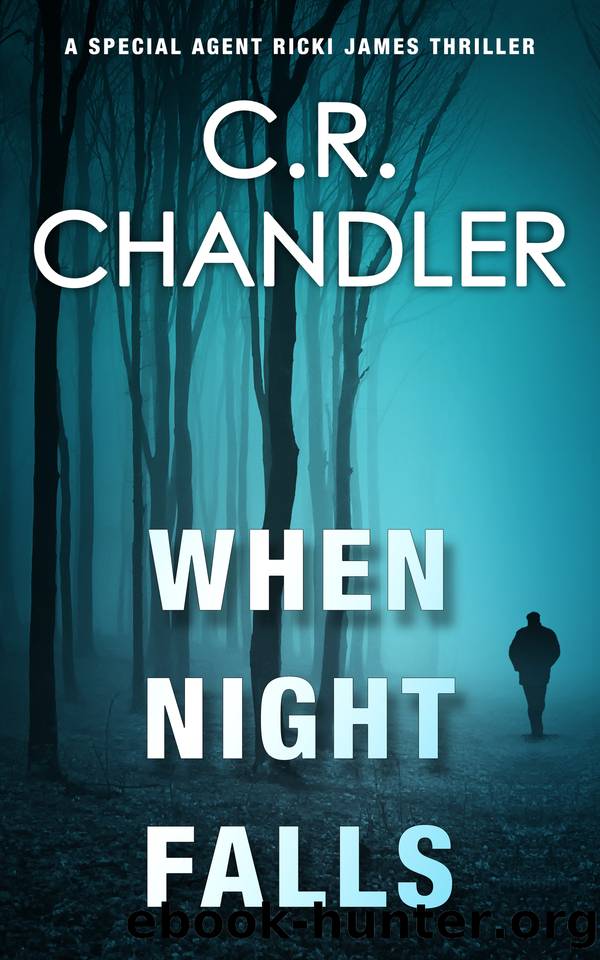When Night Falls (Special Agent Ricki James Book 11) by C.R. Chandler